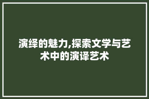 演绎的魅力,探索文学与艺术中的演译艺术