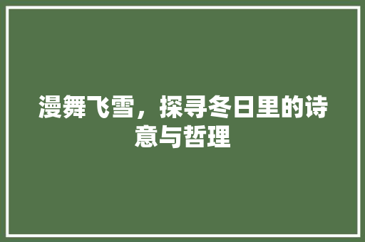 漫舞飞雪，探寻冬日里的诗意与哲理