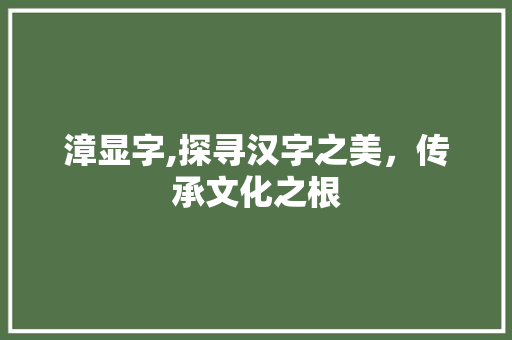 漳显字,探寻汉字之美，传承文化之根