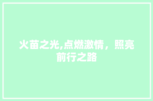火苗之光,点燃激情，照亮前行之路 古代典籍