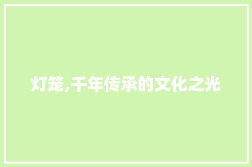 灯笼,千年传承的文化之光 反义词汇
