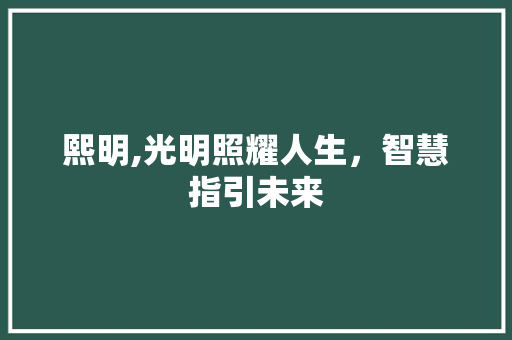 熙明,光明照耀人生，智慧指引未来 成语汇编