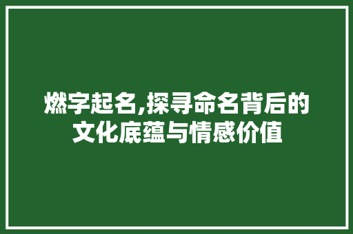 燃字起名,探寻命名背后的文化底蕴与情感价值