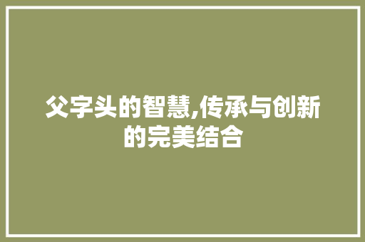 父字头的智慧,传承与创新的完美结合