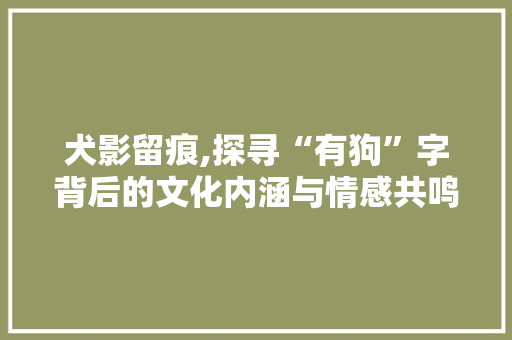 犬影留痕,探寻“有狗”字背后的文化内涵与情感共鸣