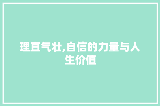 理直气壮,自信的力量与人生价值 近义词汇