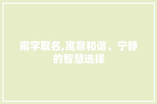甯字取名,寓意和谐、宁静的智慧选择