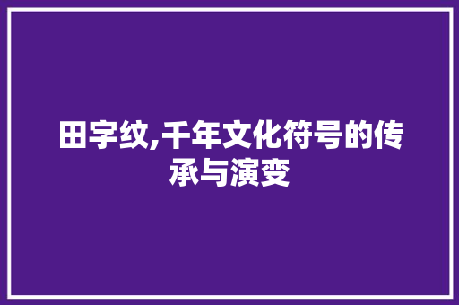 田字纹,千年文化符号的传承与演变