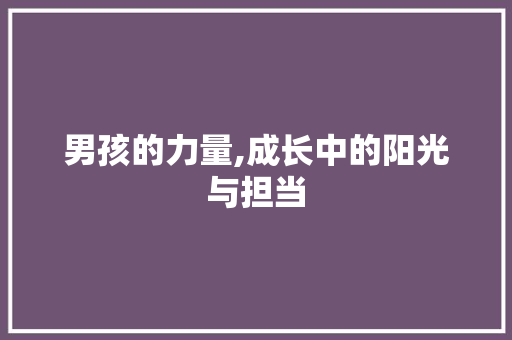 男孩的力量,成长中的阳光与担当