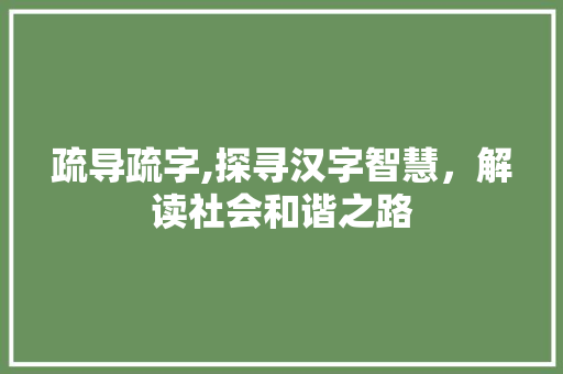 疏导疏字,探寻汉字智慧，解读社会和谐之路 汉字拼音