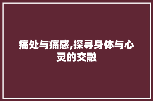 痛处与痛感,探寻身体与心灵的交融 近义词汇