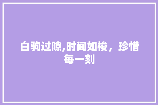白驹过隙,时间如梭，珍惜每一刻
