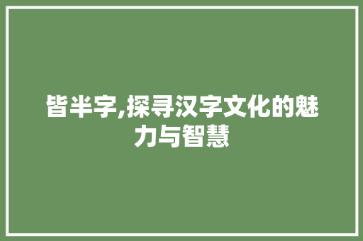 皆半字,探寻汉字文化的魅力与智慧 近义词汇