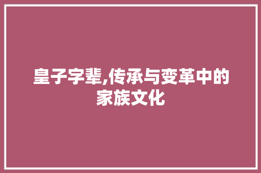 皇子字辈,传承与变革中的家族文化 汉字拼音