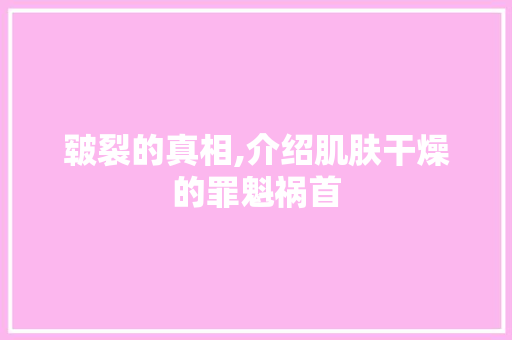 皲裂的真相,介绍肌肤干燥的罪魁祸首