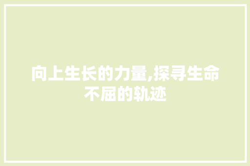 向上生长的力量,探寻生命不屈的轨迹