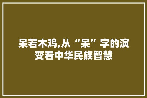 呆若木鸡,从“呆”字的演变看中华民族智慧 短语