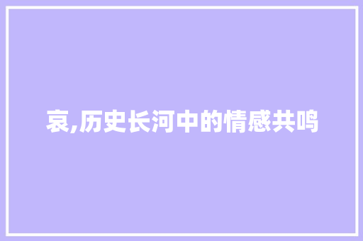 哀,历史长河中的情感共鸣