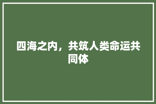 四海之内，共筑人类命运共同体