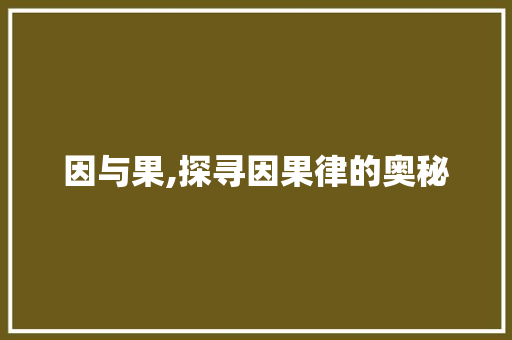 因与果,探寻因果律的奥秘