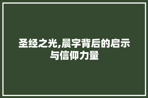 圣经之光,晨字背后的启示与信仰力量