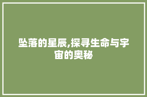 坠落的星辰,探寻生命与宇宙的奥秘
