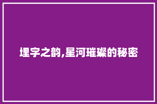 埋字之韵,星河璀璨的秘密