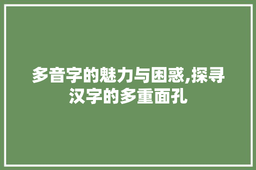 多音字的魅力与困惑,探寻汉字的多重面孔