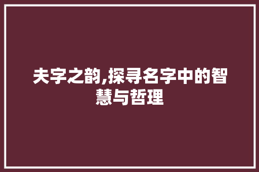 夫字之韵,探寻名字中的智慧与哲理