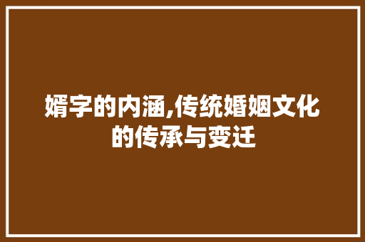 婿字的内涵,传统婚姻文化的传承与变迁