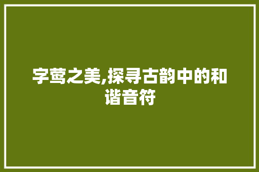 字莺之美,探寻古韵中的和谐音符