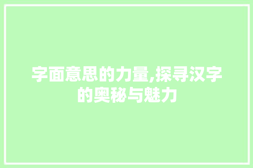 字面意思的力量,探寻汉字的奥秘与魅力 英语单词