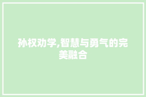 孙权劝学,智慧与勇气的完美融合 诗词佳句