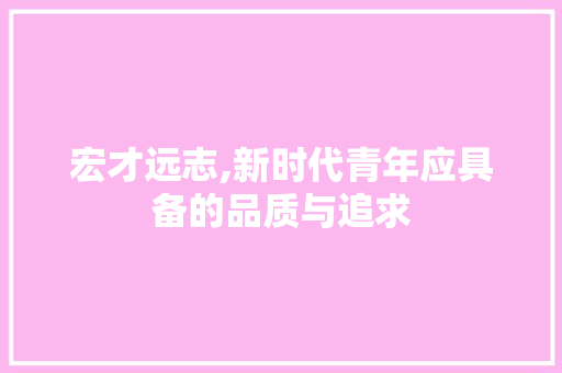 宏才远志,新时代青年应具备的品质与追求 问答