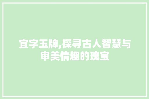 宜字玉牌,探寻古人智慧与审美情趣的瑰宝