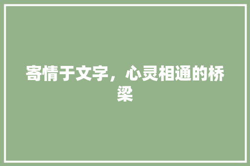 寄情于文字，心灵相通的桥梁