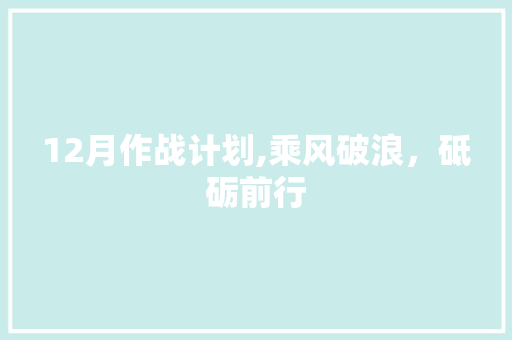 12月作战计划,乘风破浪，砥砺前行