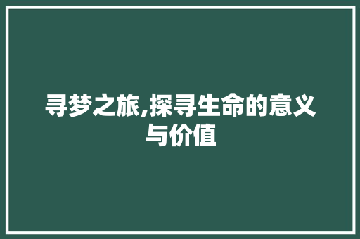 寻梦之旅,探寻生命的意义与价值
