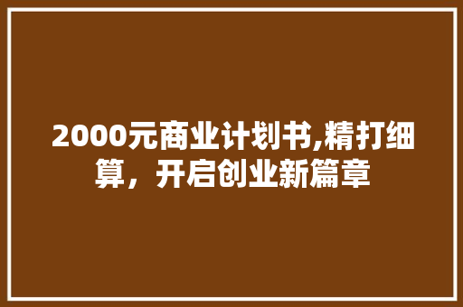 2000元商业计划书,精打细算，开启创业新篇章
