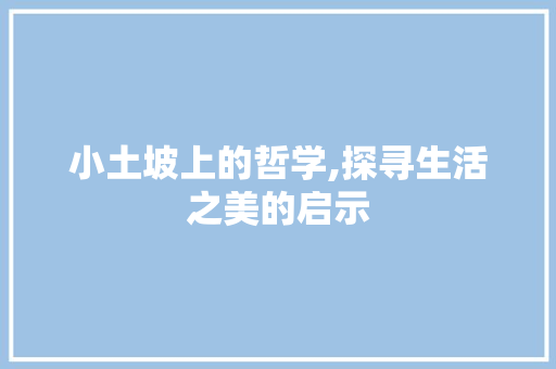 小土坡上的哲学,探寻生活之美的启示