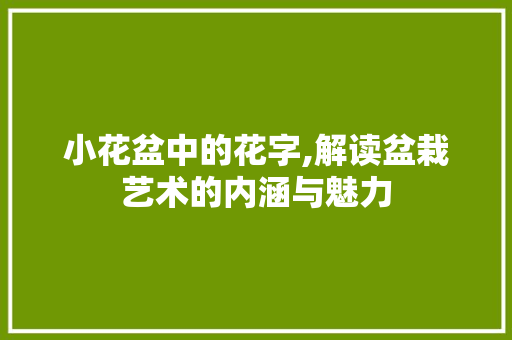 小花盆中的花字,解读盆栽艺术的内涵与魅力