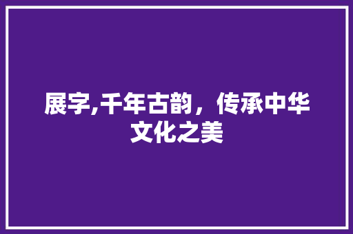 展字,千年古韵，传承中华文化之美