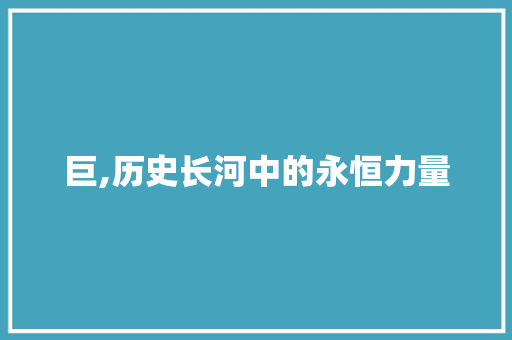 巨,历史长河中的永恒力量