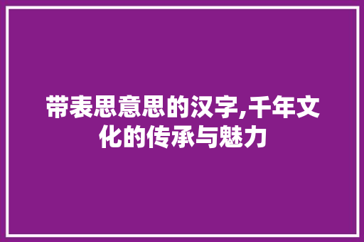 带表思意思的汉字,千年文化的传承与魅力