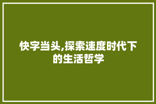 快字当头,探索速度时代下的生活哲学