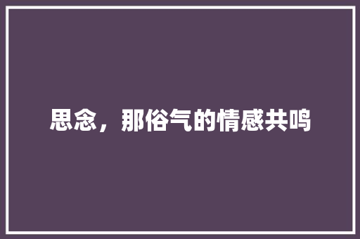 思念，那俗气的情感共鸣