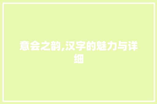 意会之韵,汉字的魅力与详细