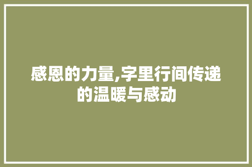 感恩的力量,字里行间传递的温暖与感动