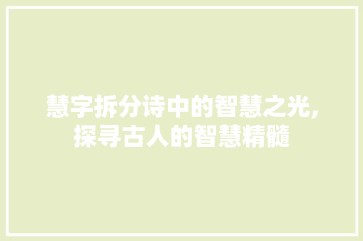 慧字拆分诗中的智慧之光,探寻古人的智慧精髓