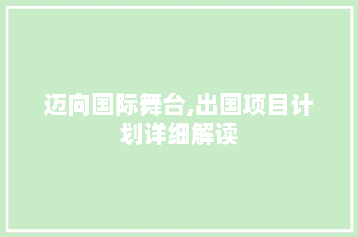 迈向国际舞台,出国项目计划详细解读